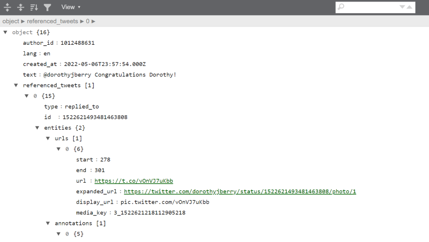 view of one tweet data that is easier to view